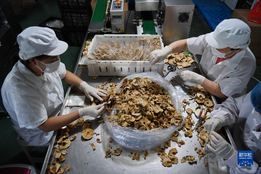 白菜网送彩金迎